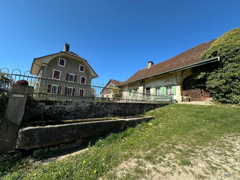 STUNNING VIEW! BEAUTIFUL FAMILY HOUSE WITH LARGE GARDEN BUILDABLE - FOUNTAIN (4)