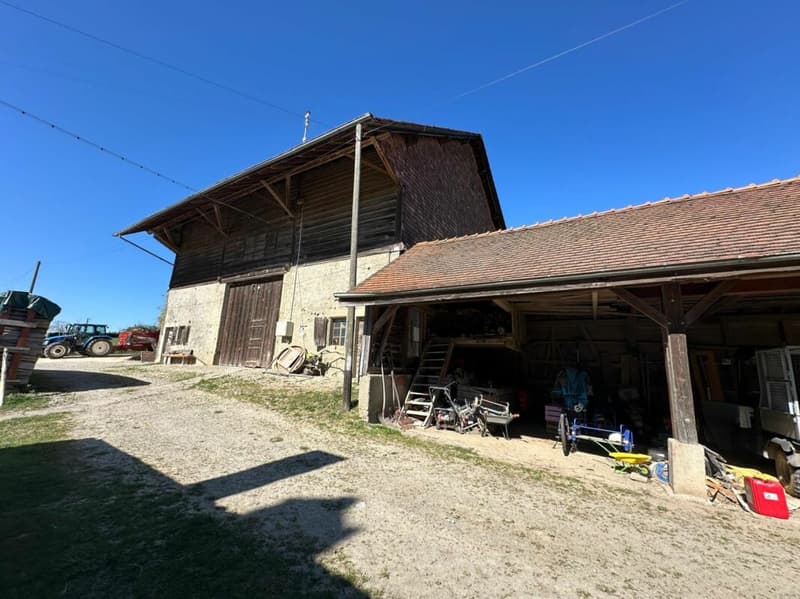 Gelände mit großem Landwirtschaftsgebäude und Überdachung, umgebaut zur Wohnung oder das gesamte Erdgeschoss für eine Aktivität und Ihre Wohnung im Obergeschoss, oder mehrere Familien? (7)