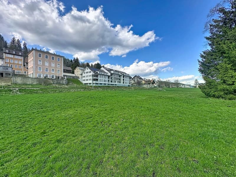 Spacious 5.5-room duplex with 2 balcony-baths (16)