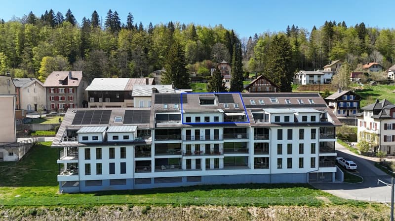 Spacious 5.5-room duplex with 2 balcony-baths (15)