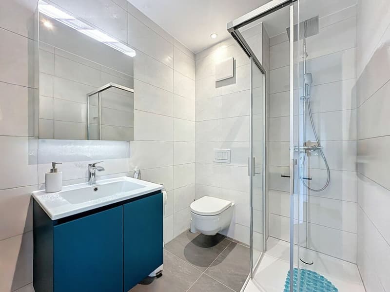 Spacious 5.5-room duplex with 2 balcony-baths (13)