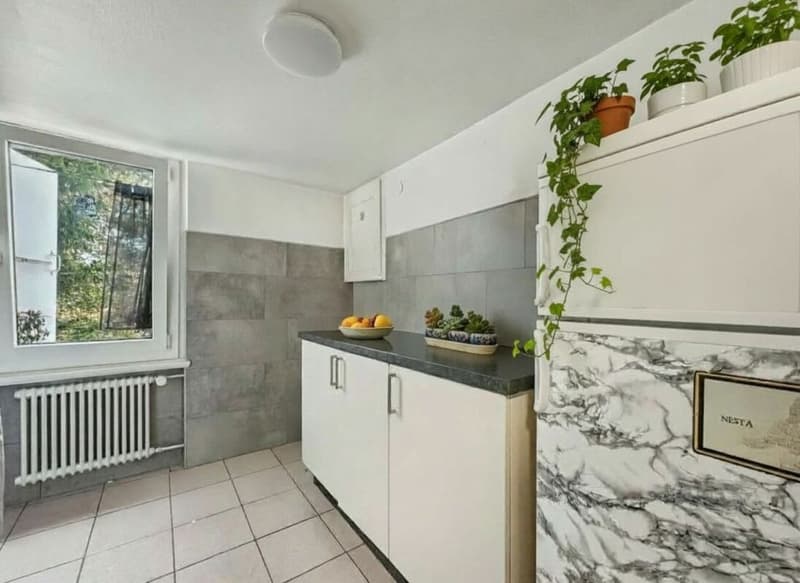 MAISON LOCATIVE DE 5 APPARTEMENTS AVEC ANNEXE INDEPENDANTE (12)