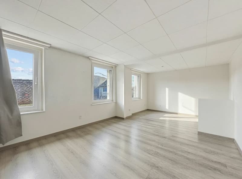MAISON LOCATIVE DE 5 APPARTEMENTS AVEC ANNEXE INDEPENDANTE (16)