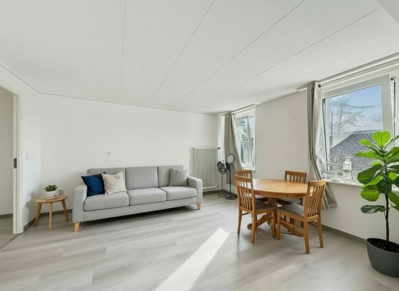 MAISON LOCATIVE DE 5 APPARTEMENTS AVEC ANNEXE INDEPENDANTE copie (17)