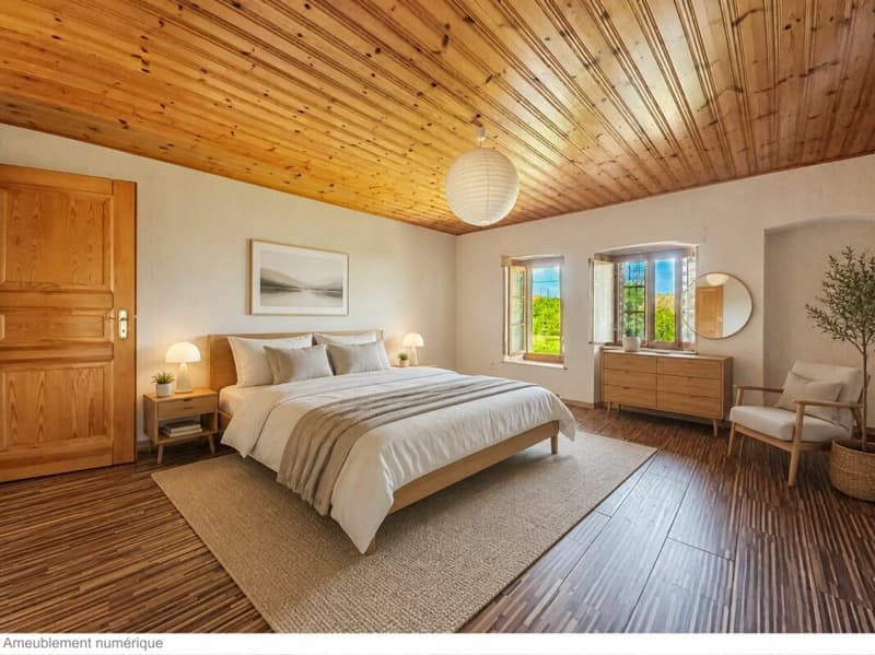 MAISON VILLAGEOISE CONTIGUË DE 2 APPARTEMENTS (14)