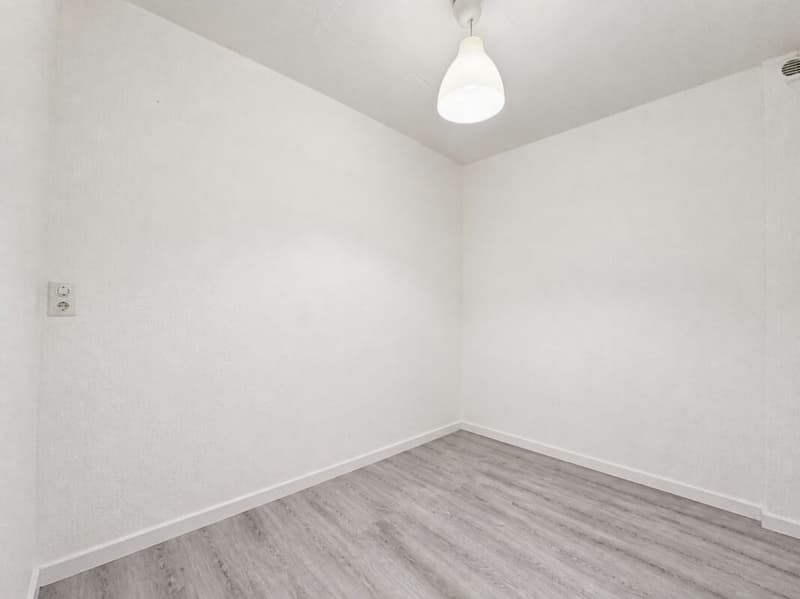 MAISON VILLAGEOISE CONTIGUË DE 2 APPARTEMENTS (15)