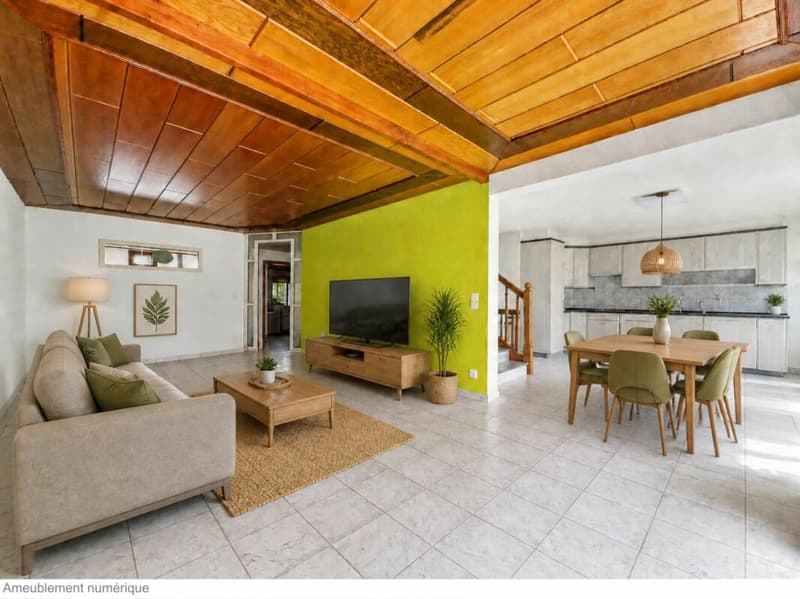 MAISON VILLAGEOISE CONTIGUË DE 2 APPARTEMENTS (12)