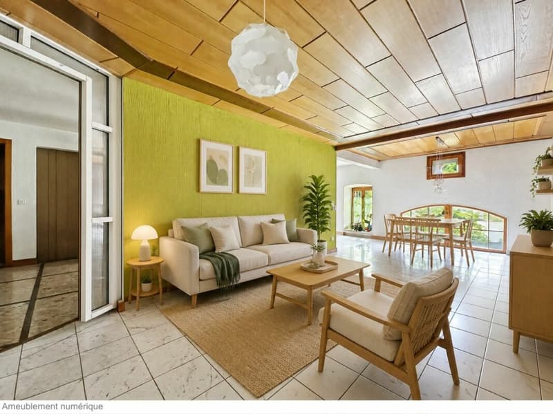 MAISON VILLAGEOISE CONTIGUË DE 2 APPARTEMENTS (13)