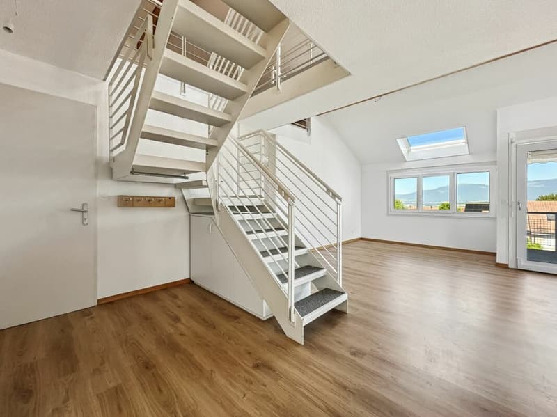 Appartamento duplex di 5,5 locali e 165 m2 con balcone (4)