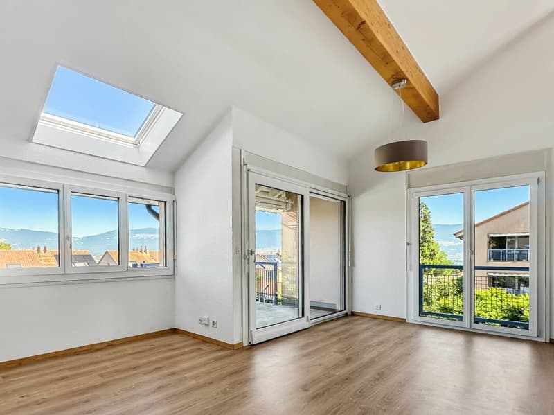 Appartamento duplex di 5,5 locali e 165 m2 con balcone (6)