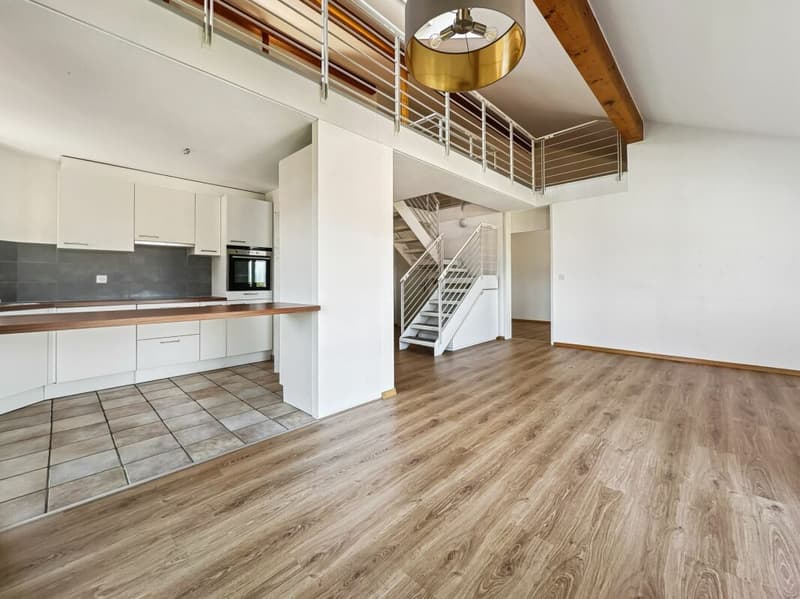 Appartamento duplex di 5,5 locali e 165 m2 con balcone (5)