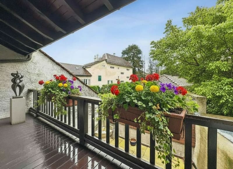 BELLE MAISON VIGNERONNE CONTIGUË EN TRIPLEX (20)