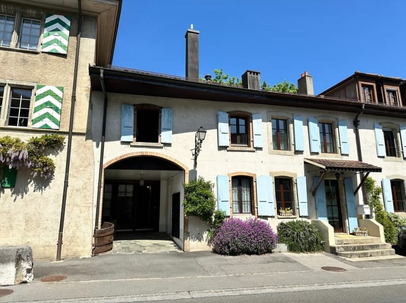 BELLE MAISON VIGNERONNE CONTIGUË EN TRIPLEX (2)