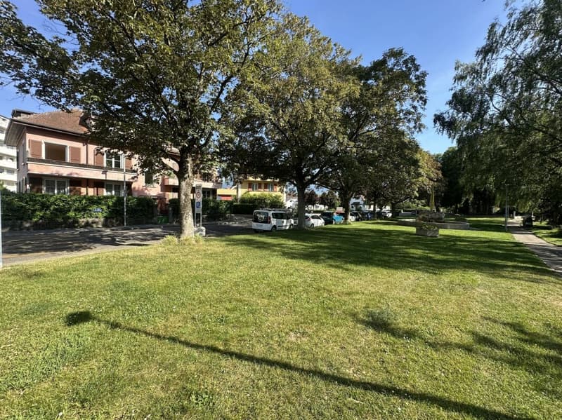 IL OCCUPE TOUTE LA TOITURE DE L'IMMEUBLE ?VOTRE COCON SOUS LES TOITS FACE À LA THIELLE (17)