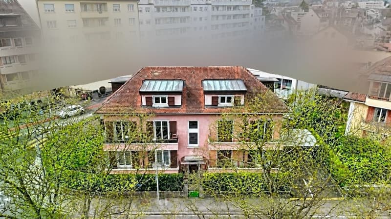 IL OCCUPE TOUTE LA TOITURE DE L'IMMEUBLE ?VOTRE COCON SOUS LES TOITS FACE À LA THIELLE (3)