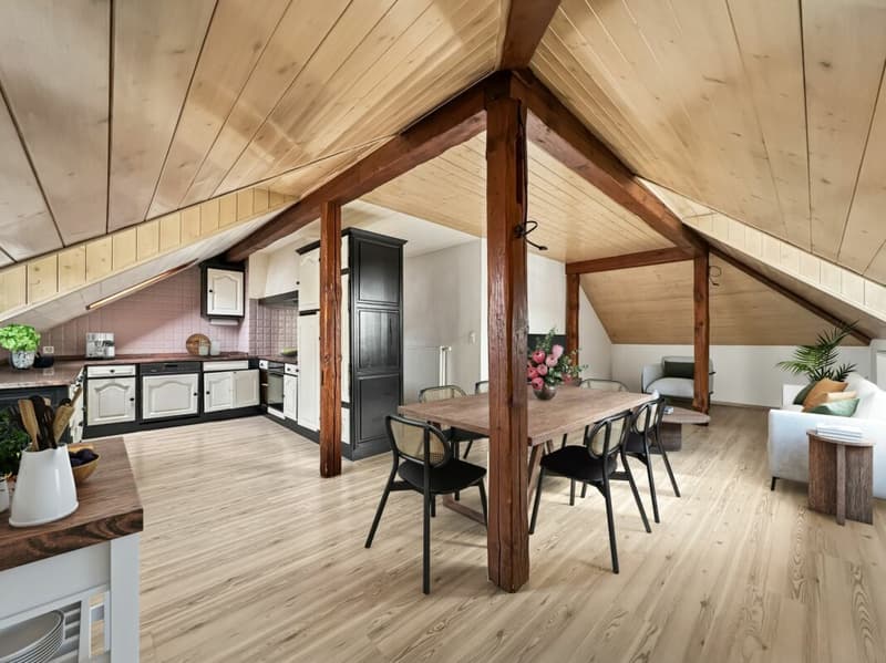 IL OCCUPE TOUTE LA TOITURE DE L'IMMEUBLE ?VOTRE COCON SOUS LES TOITS FACE À LA THIELLE (5)
