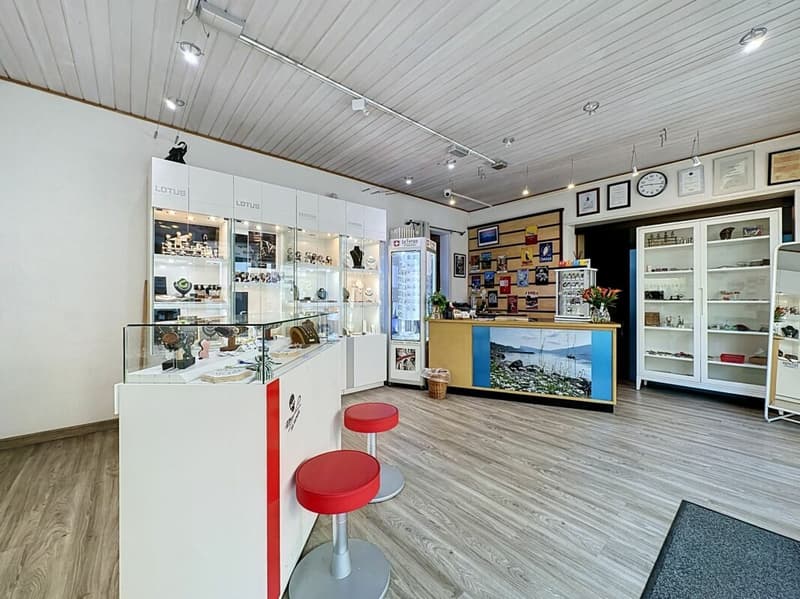 Commercial premises with shop windows for rent (5)