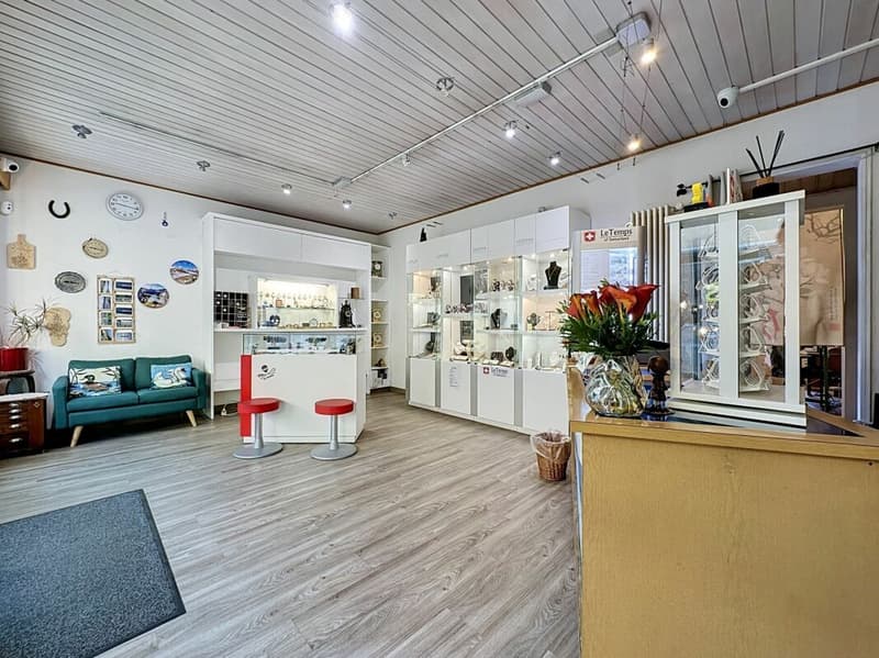 Commercial premises with shop windows for rent (4)