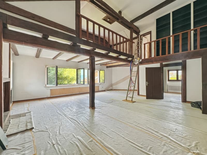Atypical property on over 6,000 m2 under renovation, not subject to LDFR (8)