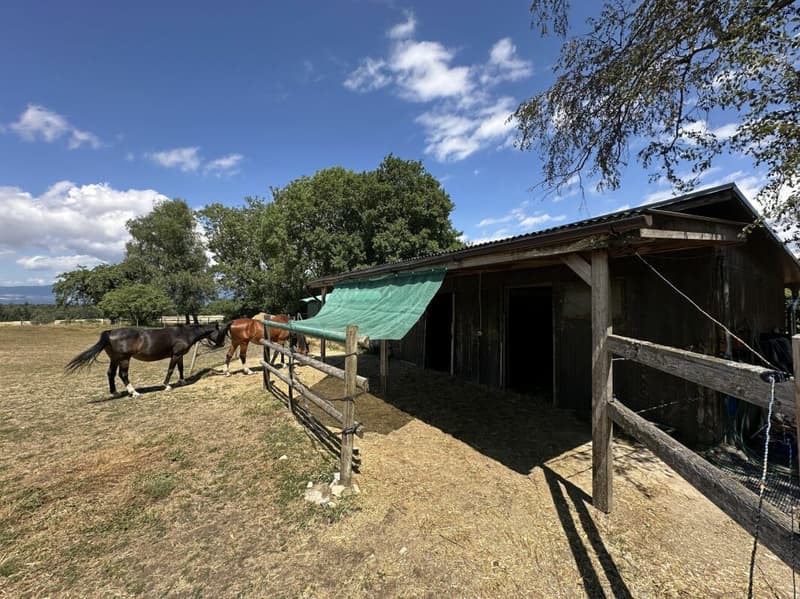 Atypical property on over 6,000 m2 under renovation, not subject to LDFR (16)