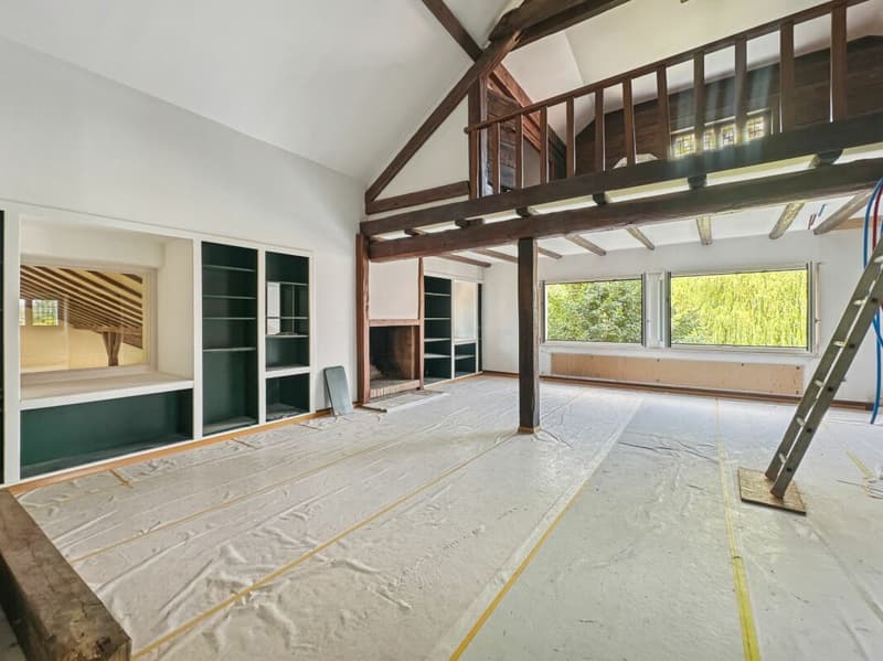 Atypical property on over 6,000 m2 under renovation, not subject to LDFR (10)