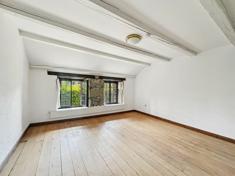 Atypical property on over 6,000 m2 under renovation, not subject to LDFR (11)