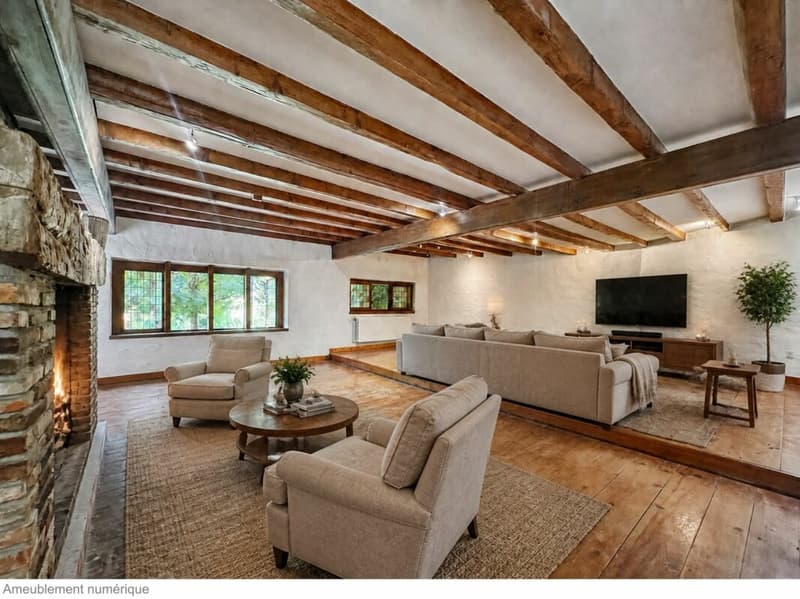 Atypical property on over 6,000 m2 under renovation, not subject to LDFR (4)