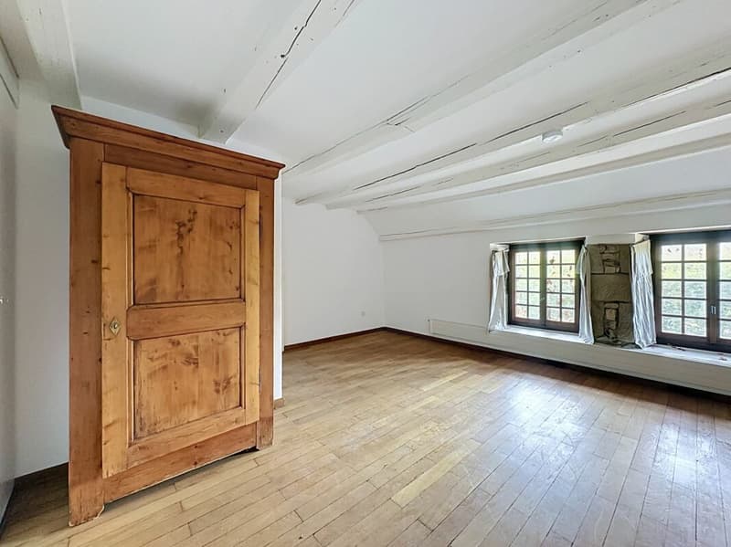 Atypical property on over 6,000 m2 under renovation, not subject to LDFR (9)