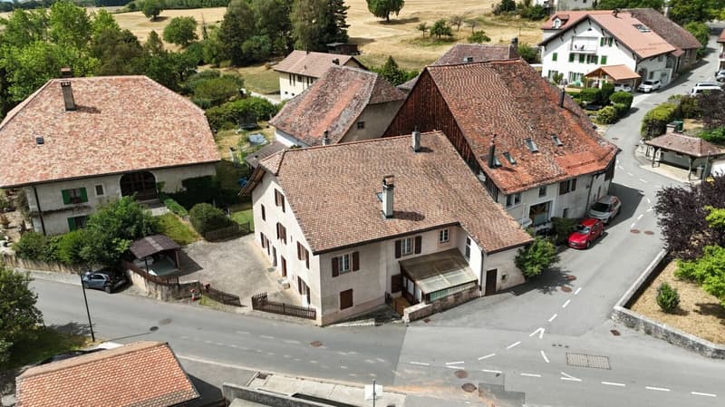 Semi-Detached Village House with 2 Apartments (21)