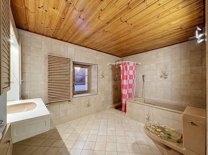 Semi-Detached Village House with 2 Apartments (12)