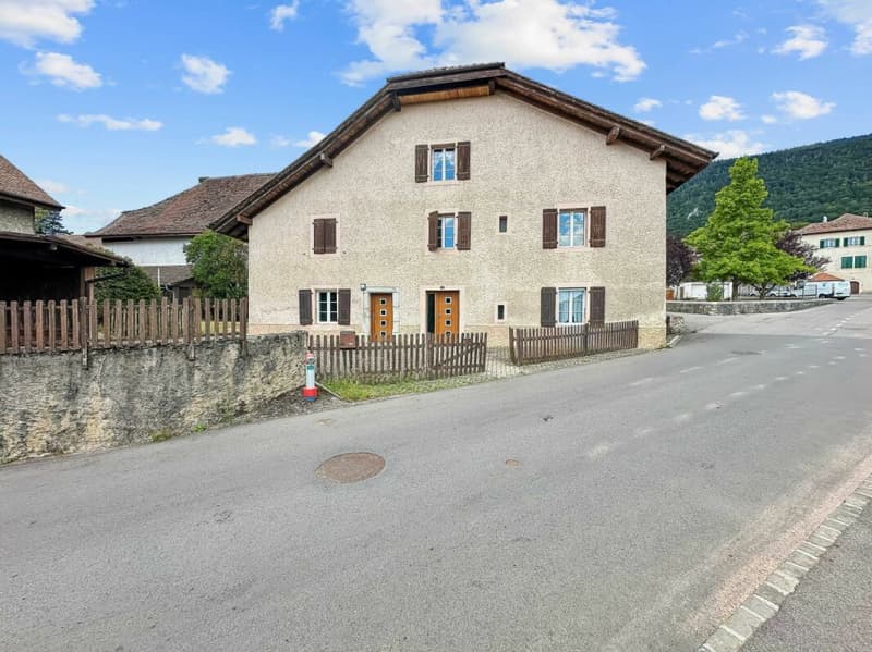 Semi-Detached Village House with 2 Apartments (20)