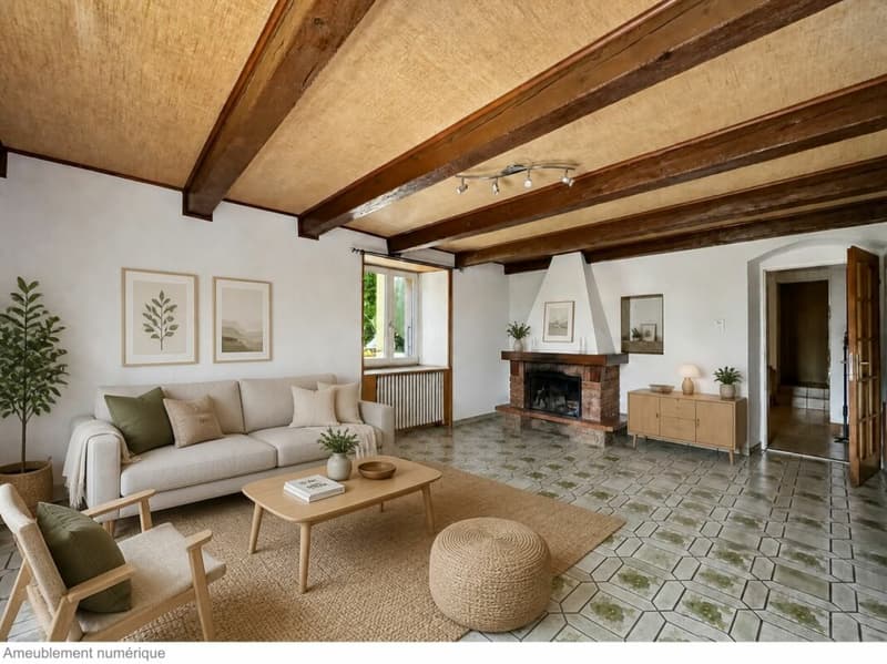 Semi-Detached Village House with 2 Apartments (6)