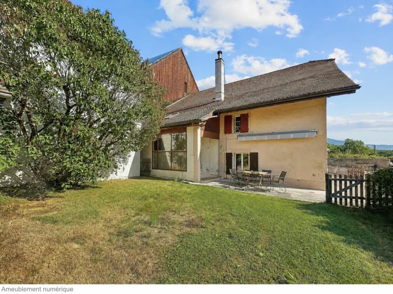 Semi-Detached Village House with 2 Apartments (8)