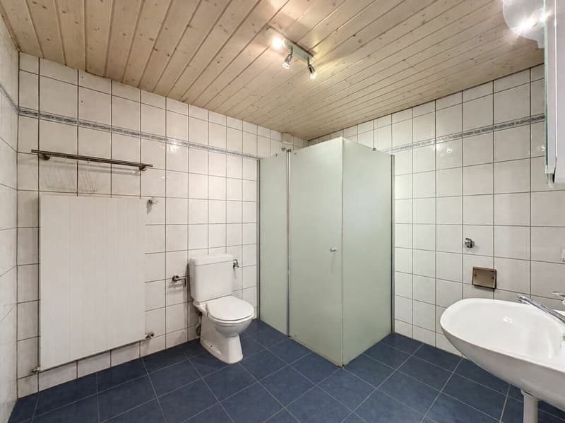 Semi-Detached Village House with 2 Apartments (19)