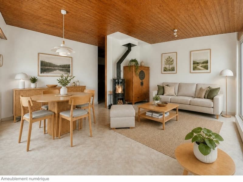 Single-family house on one level on the edge of an agricultural area with a stream (6)