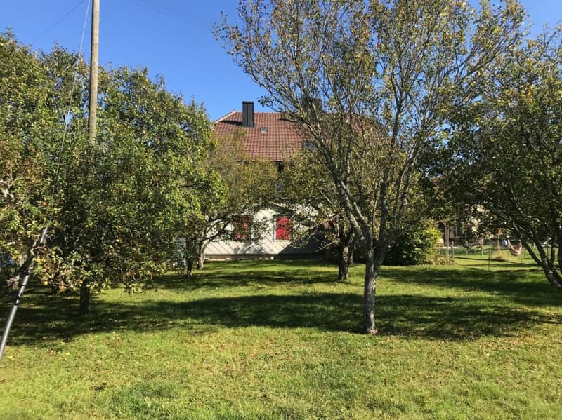 MAISON VILLAGEOISE A TRANSFORMER AVEC PERMIS EN FORCE  POUR UNE VILLA INDIVIDUELLE (3)