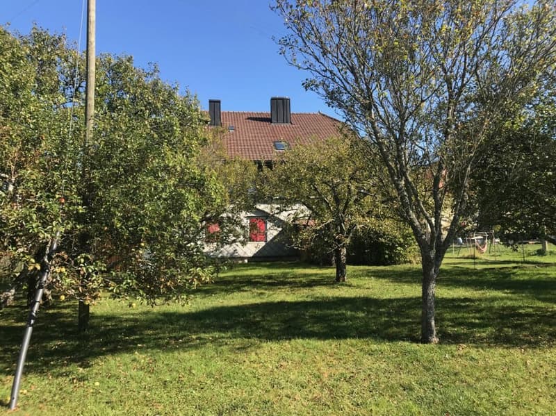 MAISON VILLAGEOISE A TRANSFORMER AVEC PERMIS EN FORCE POUR UNE VILLA INDIVIDUELLE (5)