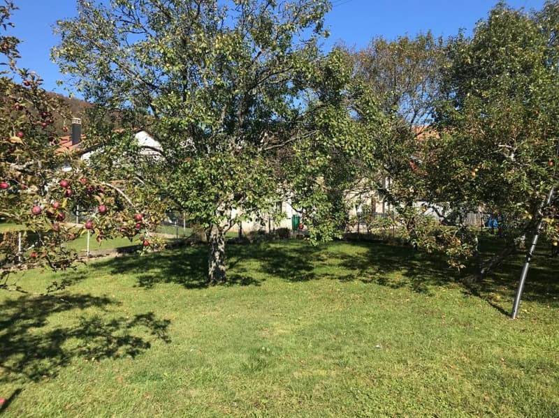 MAISON VILLAGEOISE A TRANSFORMER AVEC PERMIS EN FORCE POUR UNE VILLA INDIVIDUELLE (2)
