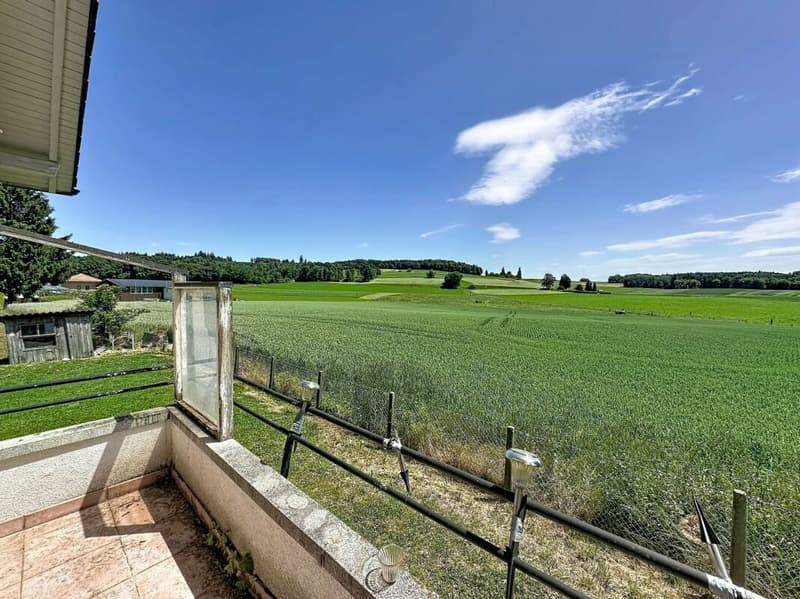 PETITE MAISON A RENOVER, EN BORDURE DE ZONE AGRICOLE (7)