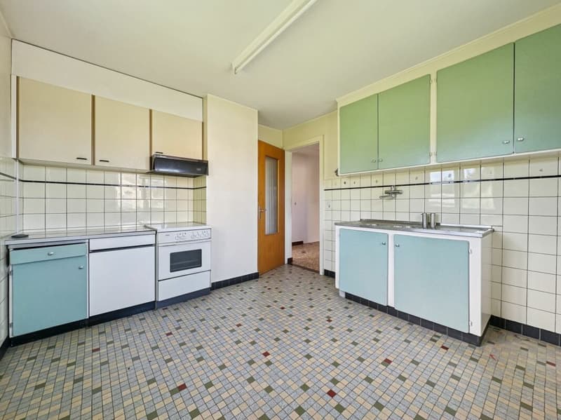 PETITE MAISON A RENOVER, EN BORDURE DE ZONE AGRICOLE (3)