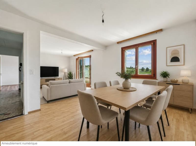 PETITE MAISON A RENOVER, EN BORDURE DE ZONE AGRICOLE (5)