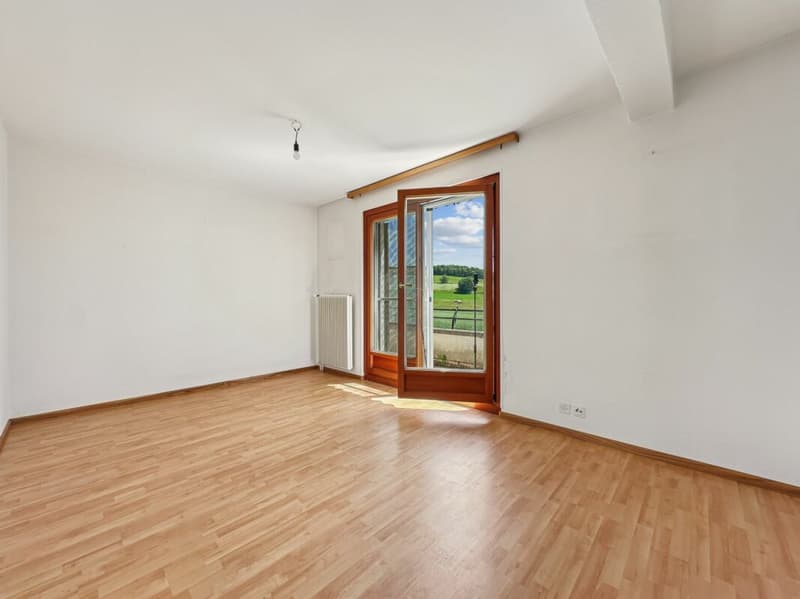 PETITE MAISON A RENOVER, EN BORDURE DE ZONE AGRICOLE (6)
