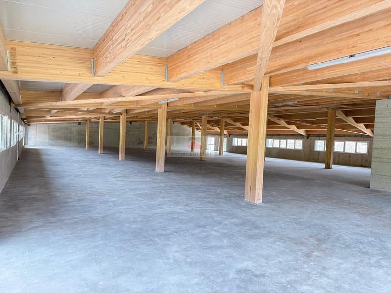 For Rent - New premises of about 1'000 m² (2)