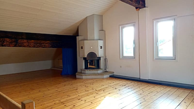 Large open space with wooden floors, a fireplace in the center, and windows providing natural light.