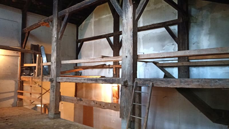 Schönes Bauernhaus mit zwei Wohnungen von 300 m2 und 220 m2 Scheune und Paddock (38)