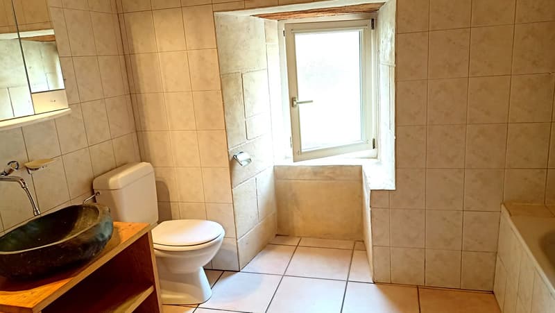 Schönes Bauernhaus mit zwei Wohnungen von 300 m2 und 220 m2 Scheune und Paddock (24)
