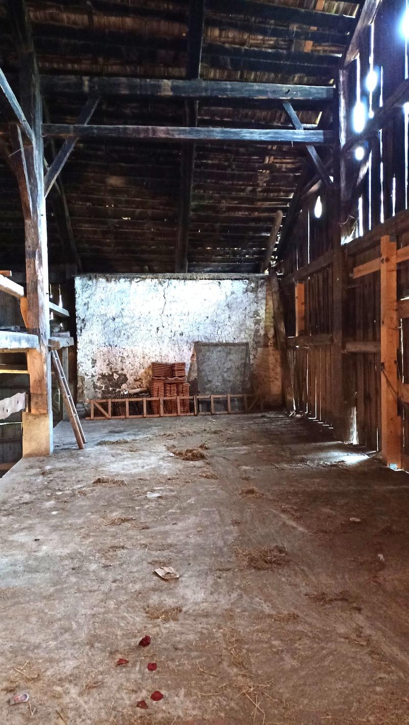 Schönes Bauernhaus mit zwei Wohnungen von 300 m2 und 220 m2 Scheune und Paddock (36)