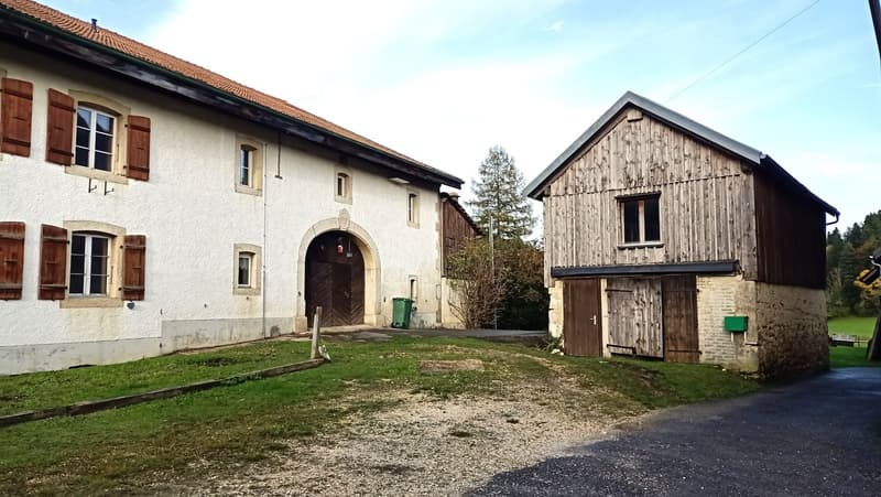 Schönes Bauernhaus mit zwei Wohnungen von 300 m2 und 220 m2 Scheune und Paddock (39)