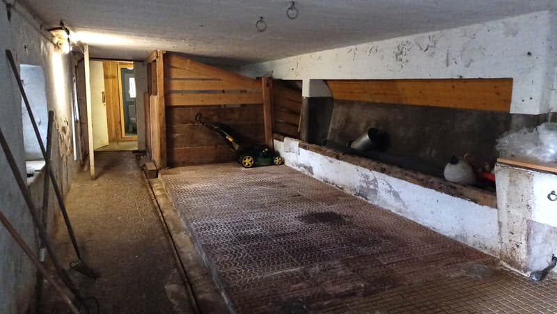 Schönes Bauernhaus mit zwei Wohnungen von 300 m2 und 220 m2 Scheune und Paddock (32)