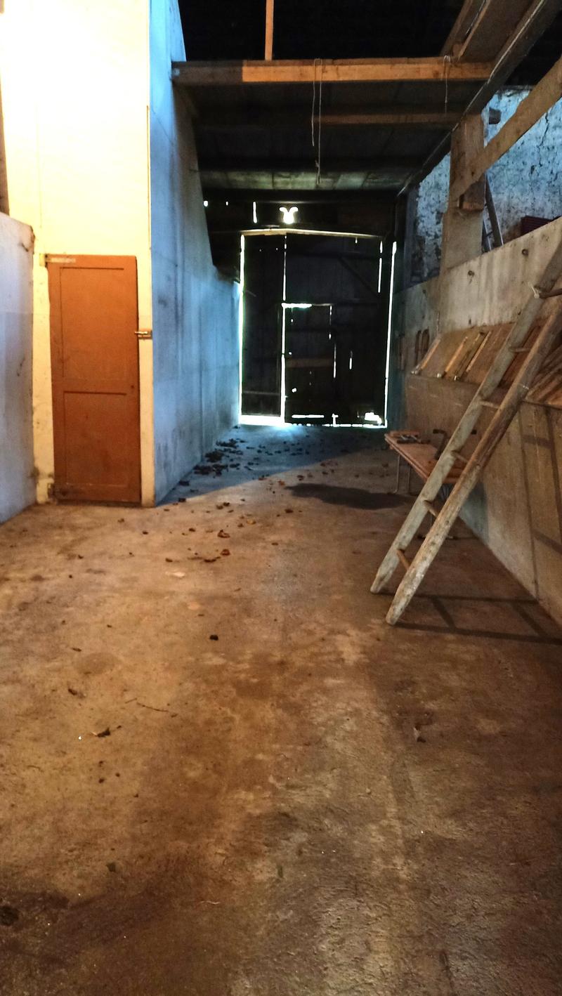 Schönes Bauernhaus mit zwei Wohnungen von 300 m2 und 220 m2 Scheune und Paddock (34)